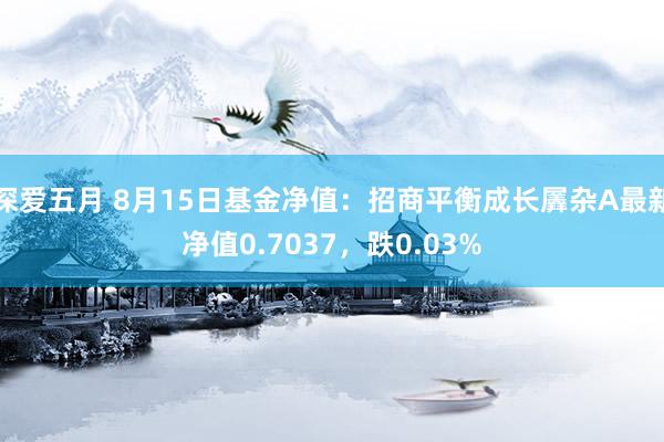 深爱五月 8月15日基金净值：招商平衡成长羼杂A最新净值0.7037，跌0.03%