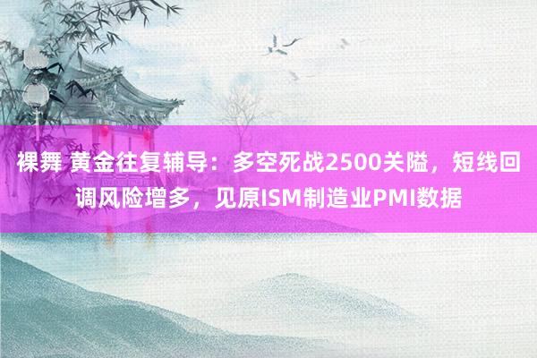 裸舞 黄金往复辅导：多空死战2500关隘，短线回调风险增多，