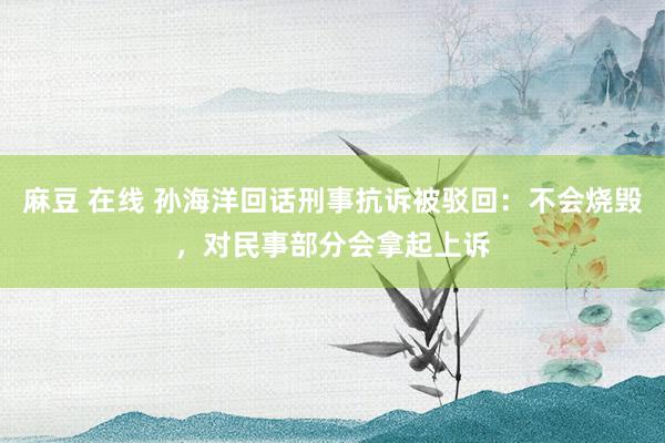 麻豆 在线 孙海洋回话刑事抗诉被驳回：不会烧毁，对民事部分会拿起上诉