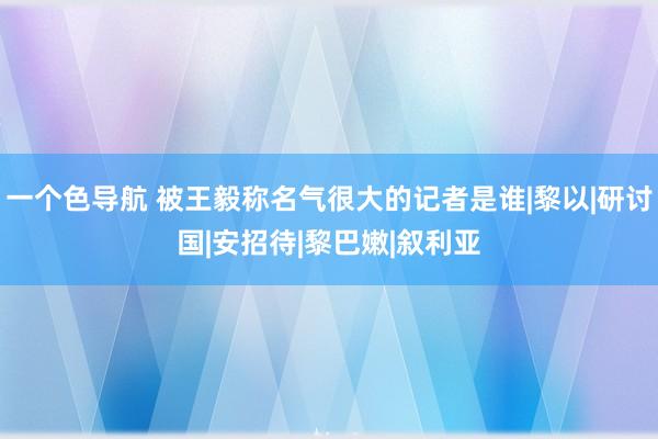 一个色导航 被王毅称名气很大的记者是谁|黎以|研讨国|安招待|黎巴嫩|叙利亚